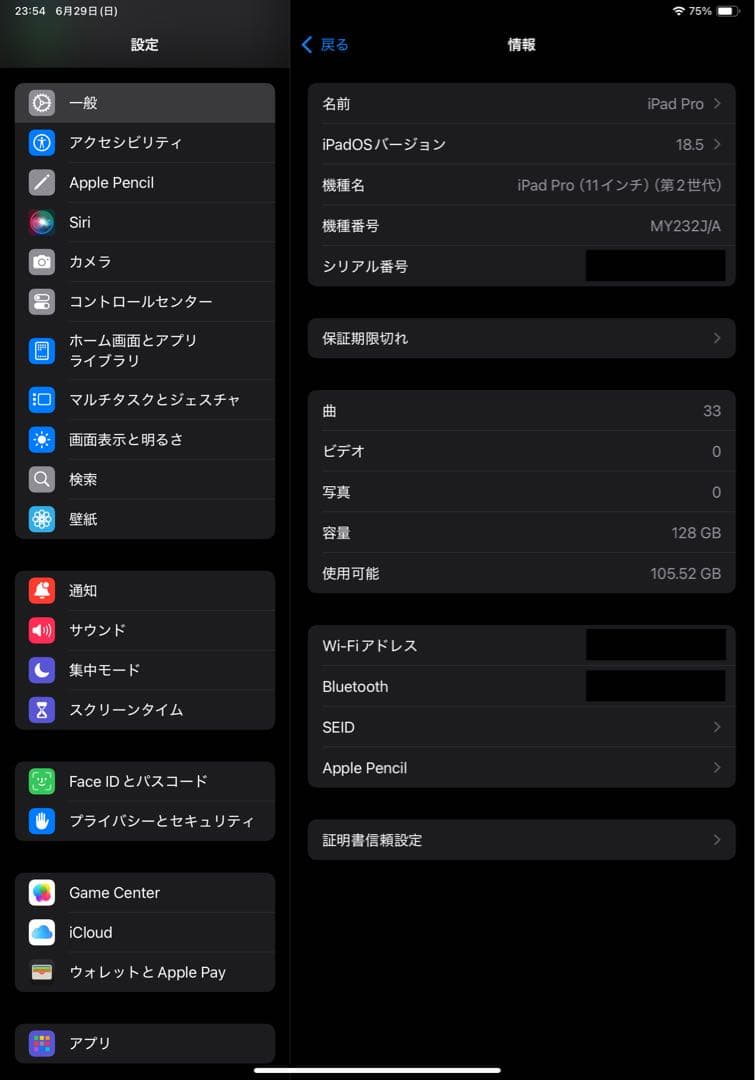 iPad Pro 11-inch（第2世代）128GB Wi-Fi【傷アリ】