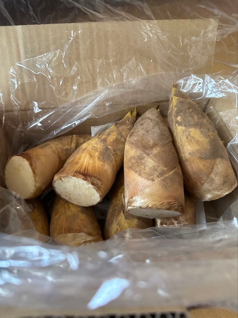 徳島県産 たけのこ 約2kg 筍 タケノコ