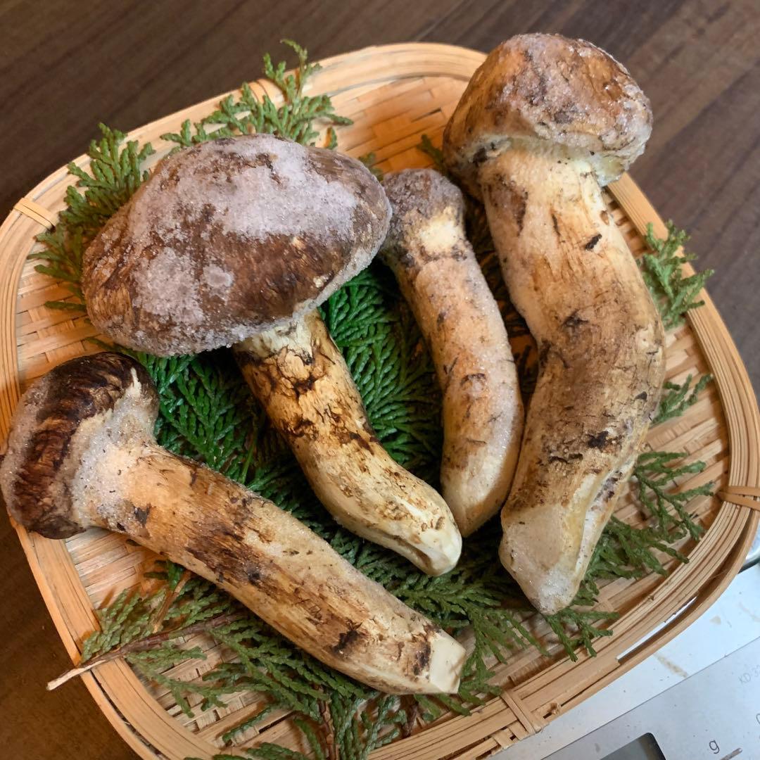 ②【岩手県産天然松茸】冷凍松茸　国産本場　つぼみ開き　239g