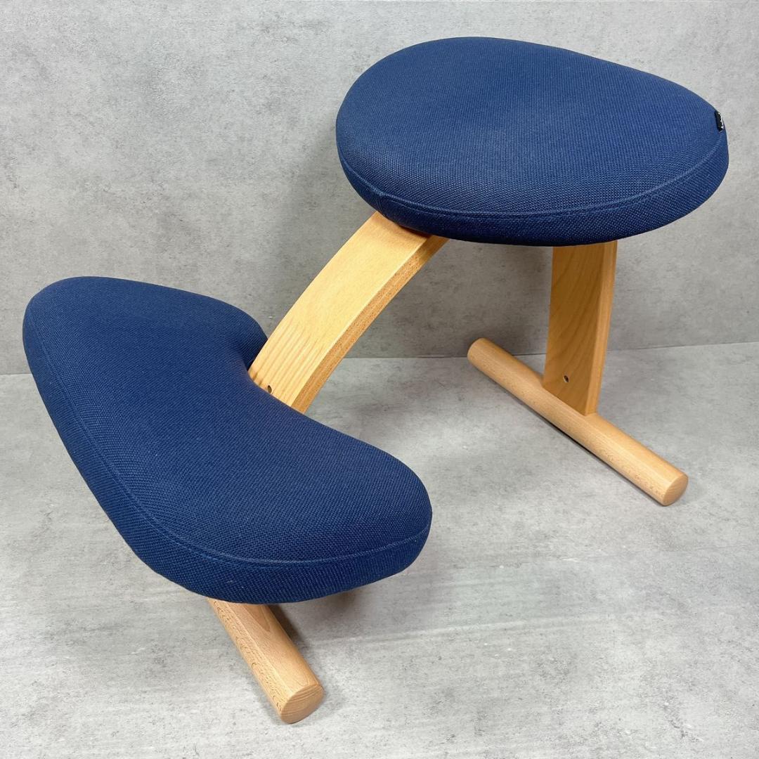 サカモトハウス Sakamoto バランスイージー balans Easy ネイ