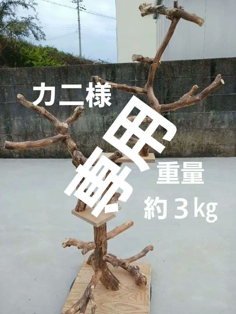 バードアスレチック バードアスレチックジム 止まり木、小鳥、流木(焼き入れ)