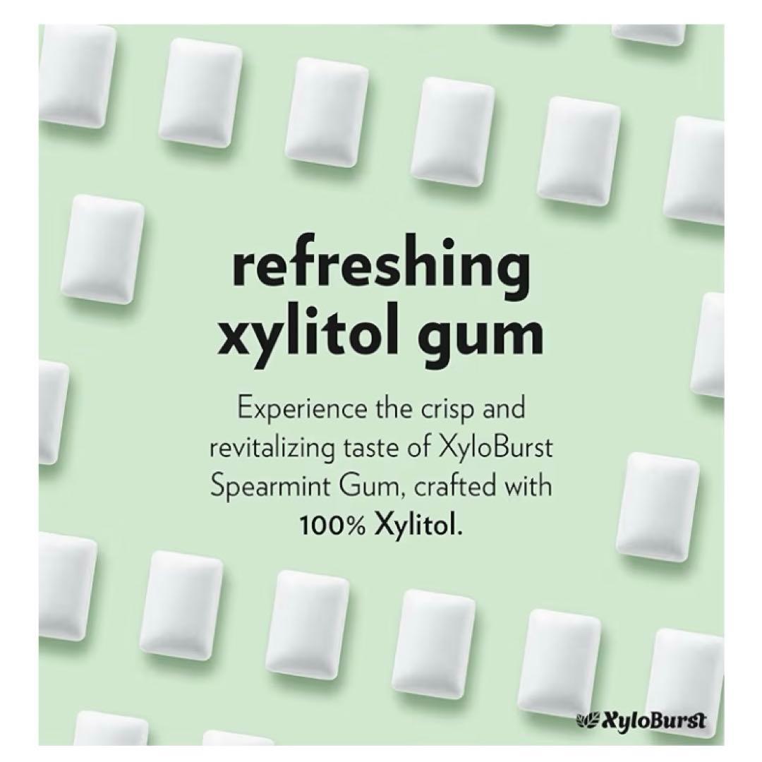 ザイロバースト　キシリトールガム スペアミント　シナモン　ボトルガム