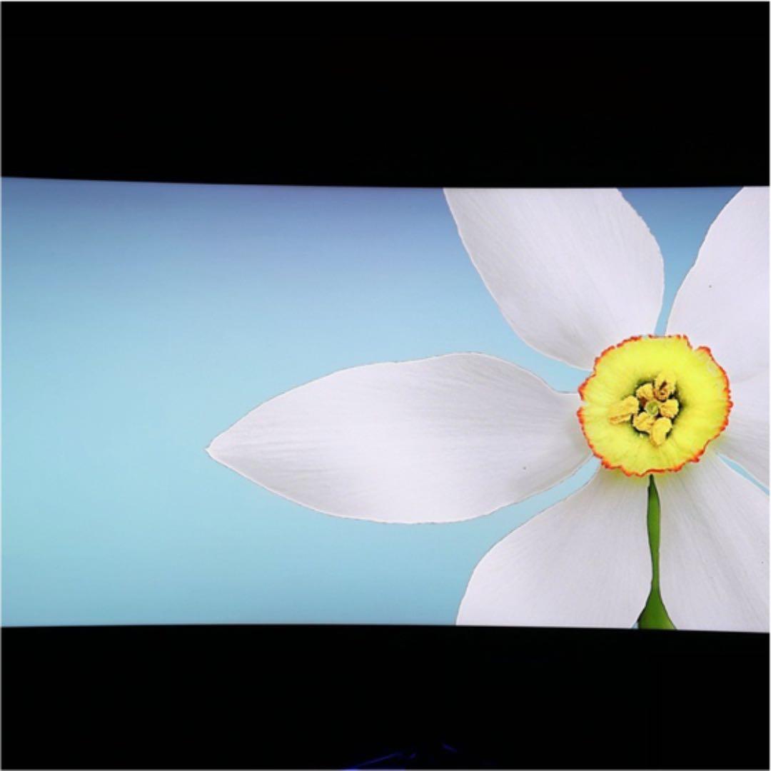 【新品同様】ASUS ROG Swift PG35VQ