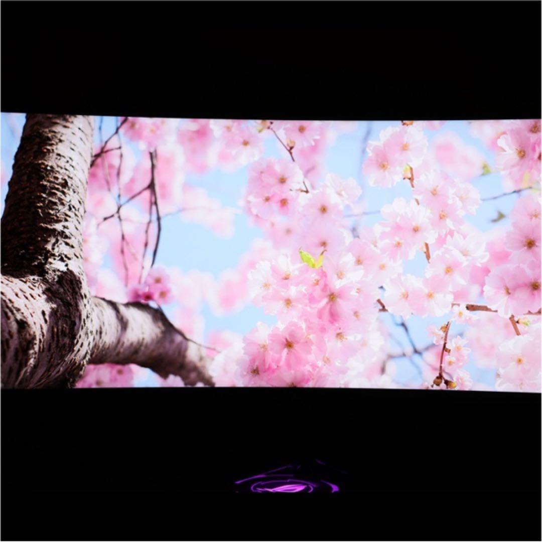 【新品同様】ASUS ROG Swift PG35VQ