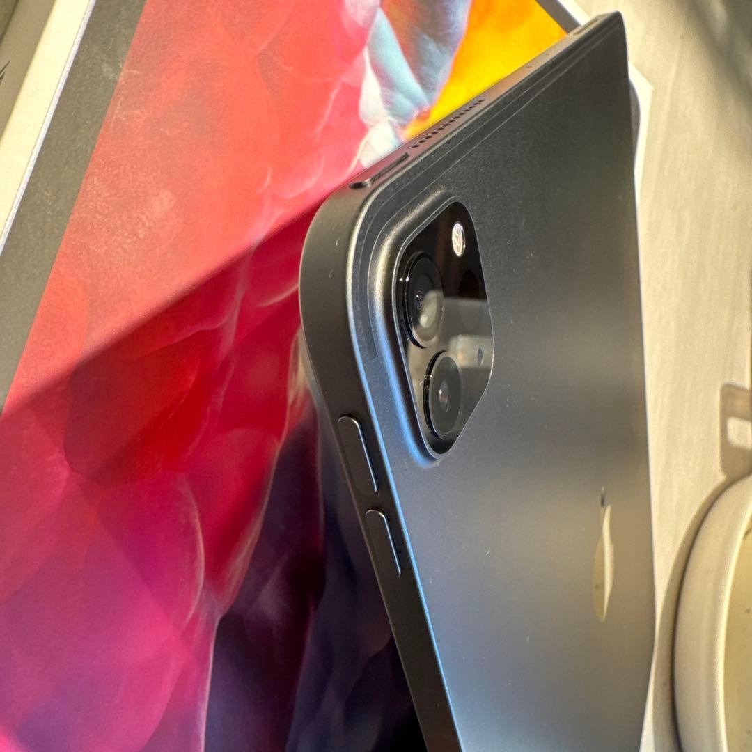 iPad Pro 11インチ 256GB スペースグレー　(第2世代)