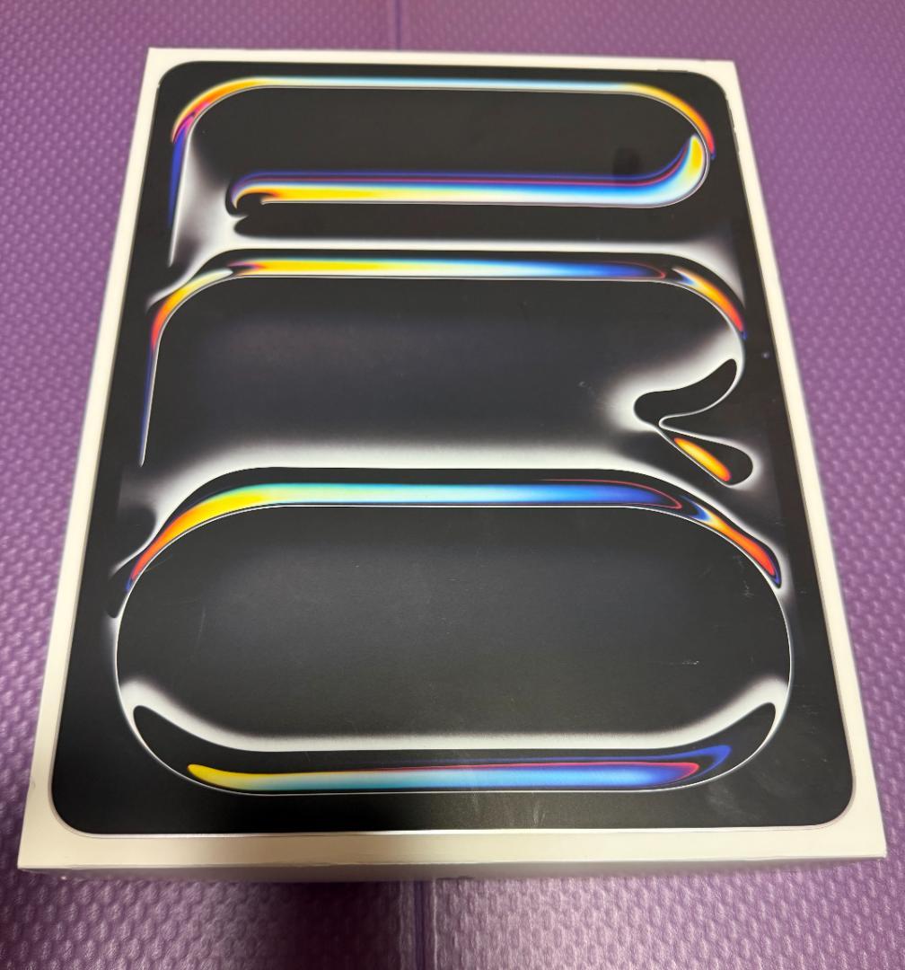 美品 Apple iPad Pro 256㎇ M4 Cellular 13インチ