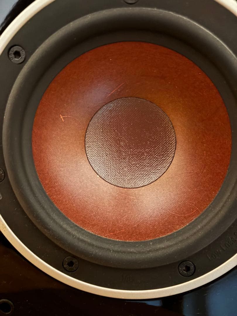 【shop arioso 様限定】DALI スピーカー　ZENSOR 1