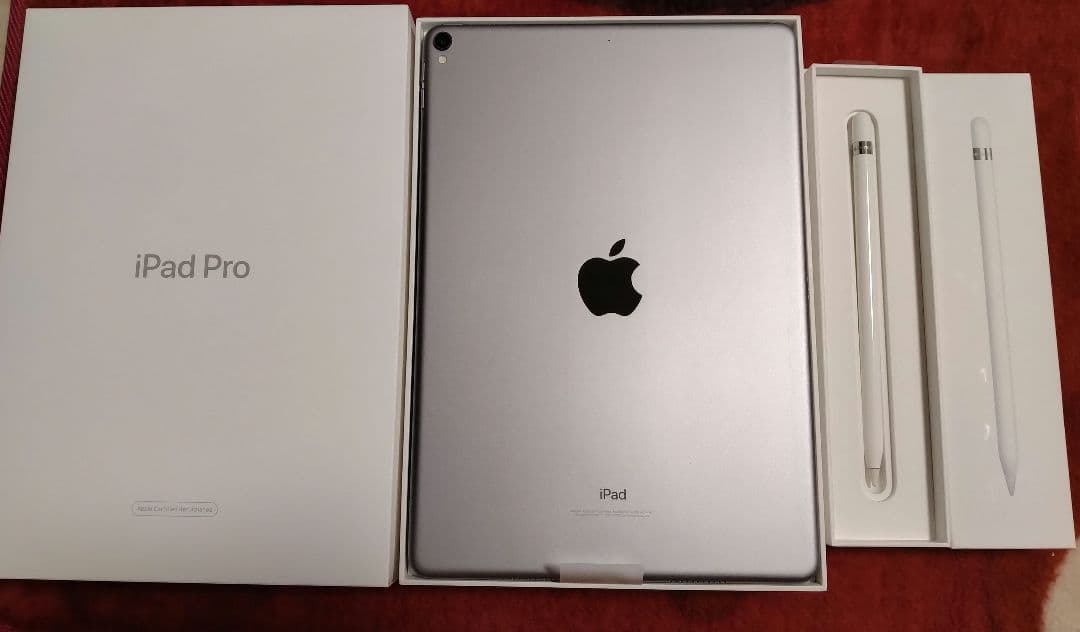 大*風様 iPad Pro スペースグレー 本体 + Apple Pencil