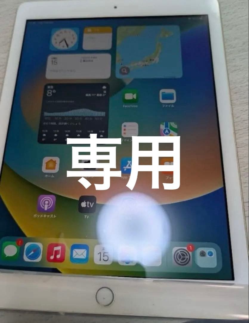 iPad本体 iPad