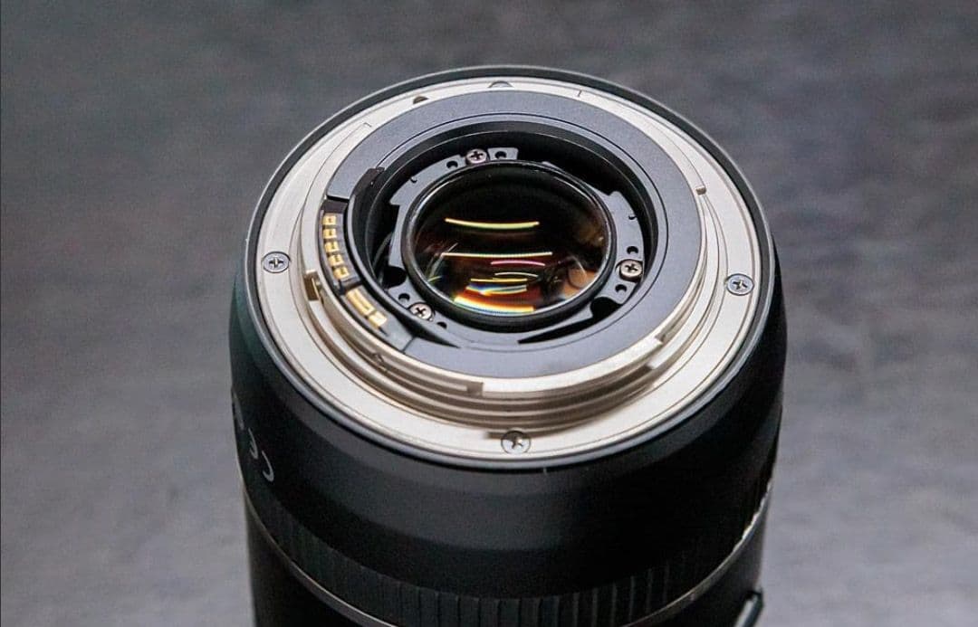 CANON EOS R8 動画セット キヤノン