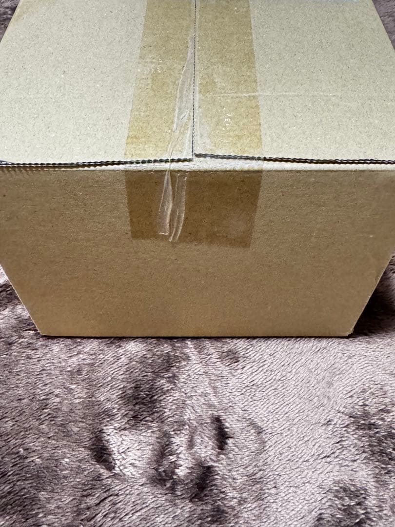 【完全未開封】ポケモンセンター トウホク スペシャルBOX シュリンク付き