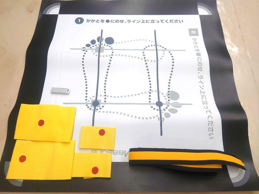 姿勢分析　ゆがみーる　LITE