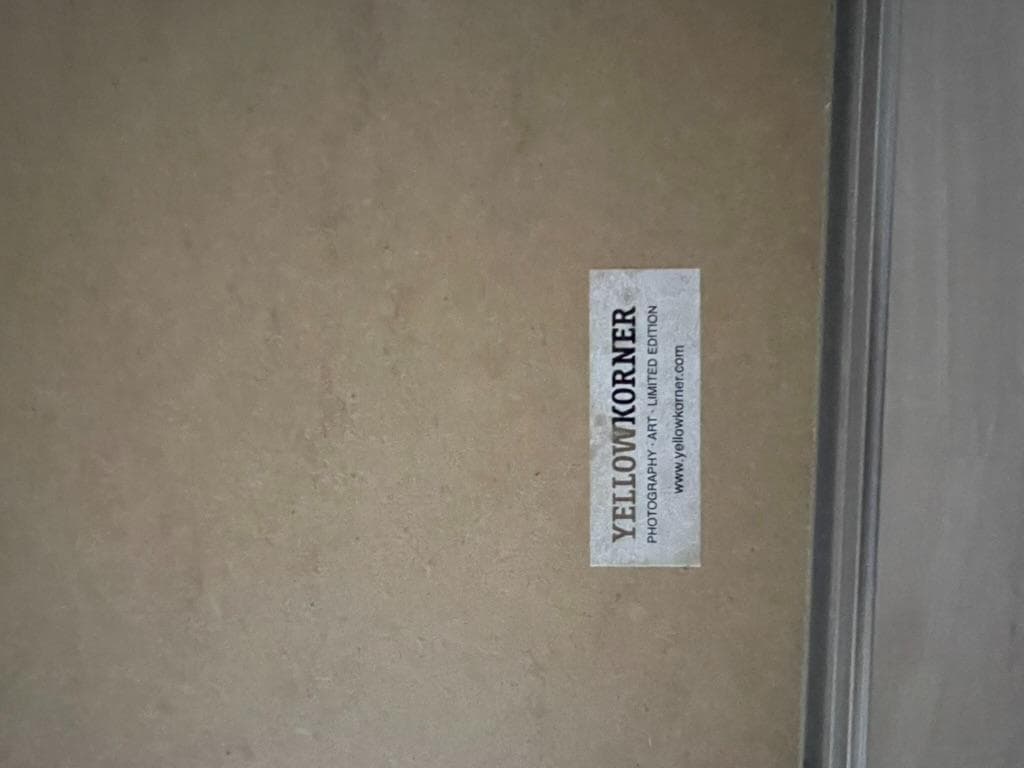 【限定】イエローコーナー アート写真 アンティ・ヴィータラ 海 50x40 額装