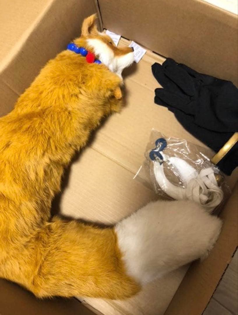 刀剣乱舞 鳴狐 戦闘服 コスプレ 衣装