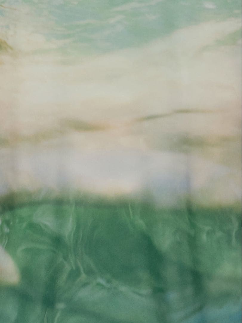 Silvia Conde Oliván×Ameri SHEER TOP