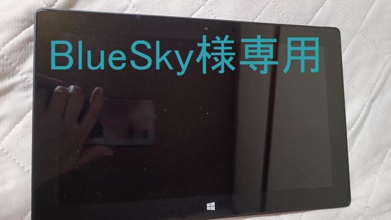 Microsoft Surface Pro2 8GB/512GB 専用おまけ付