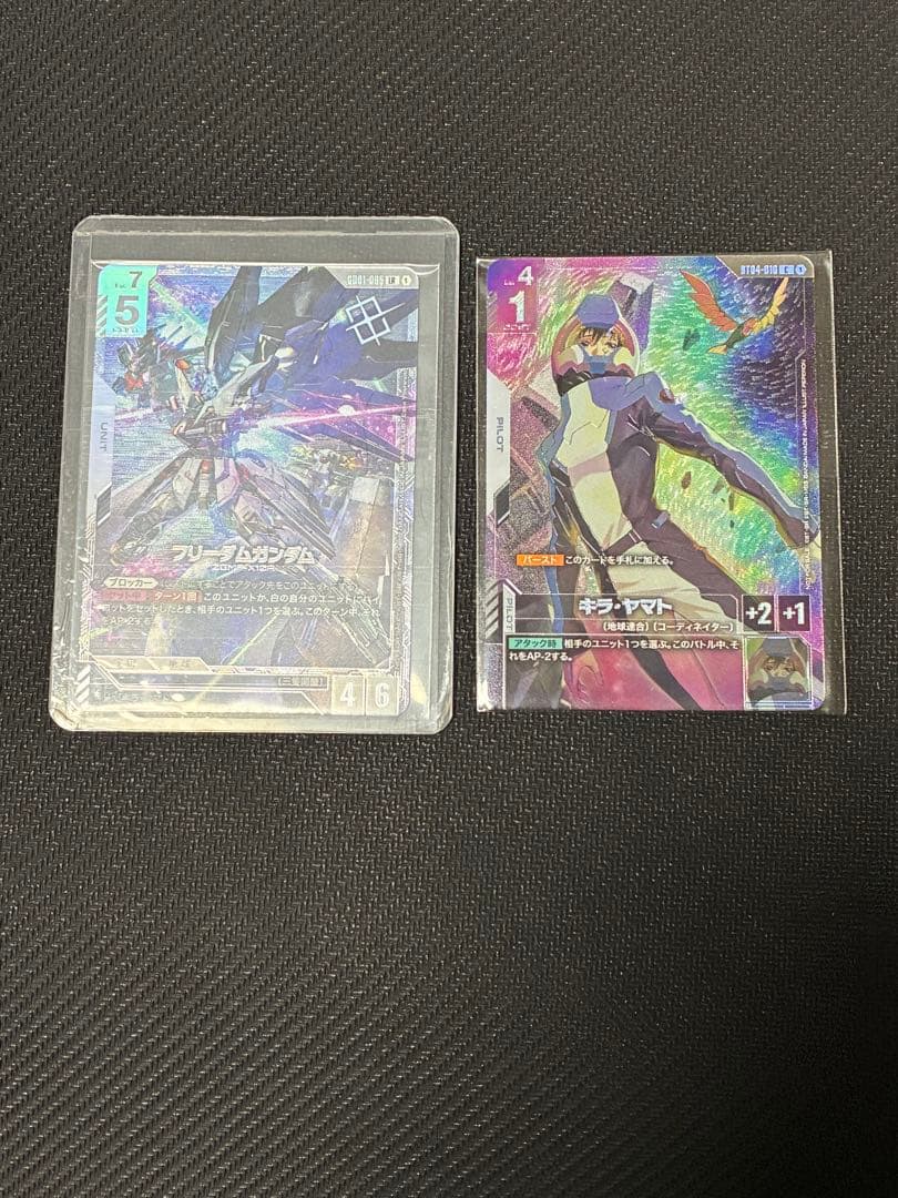 フリーダムガンダム キラ・ヤマト ニュータイプチャレンジ