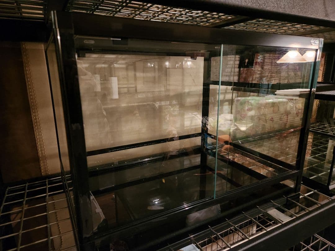 引取パンテオン6045中古1台