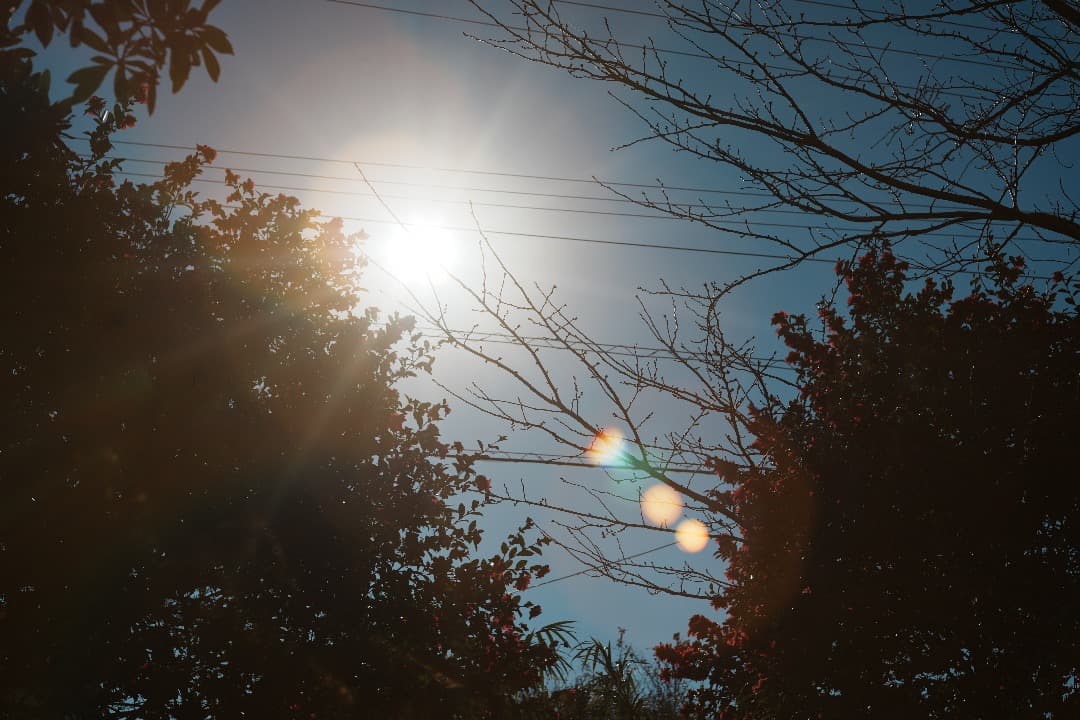 希少 pentax Auto Takumar 55mm f1.8 ゼブラ 989
