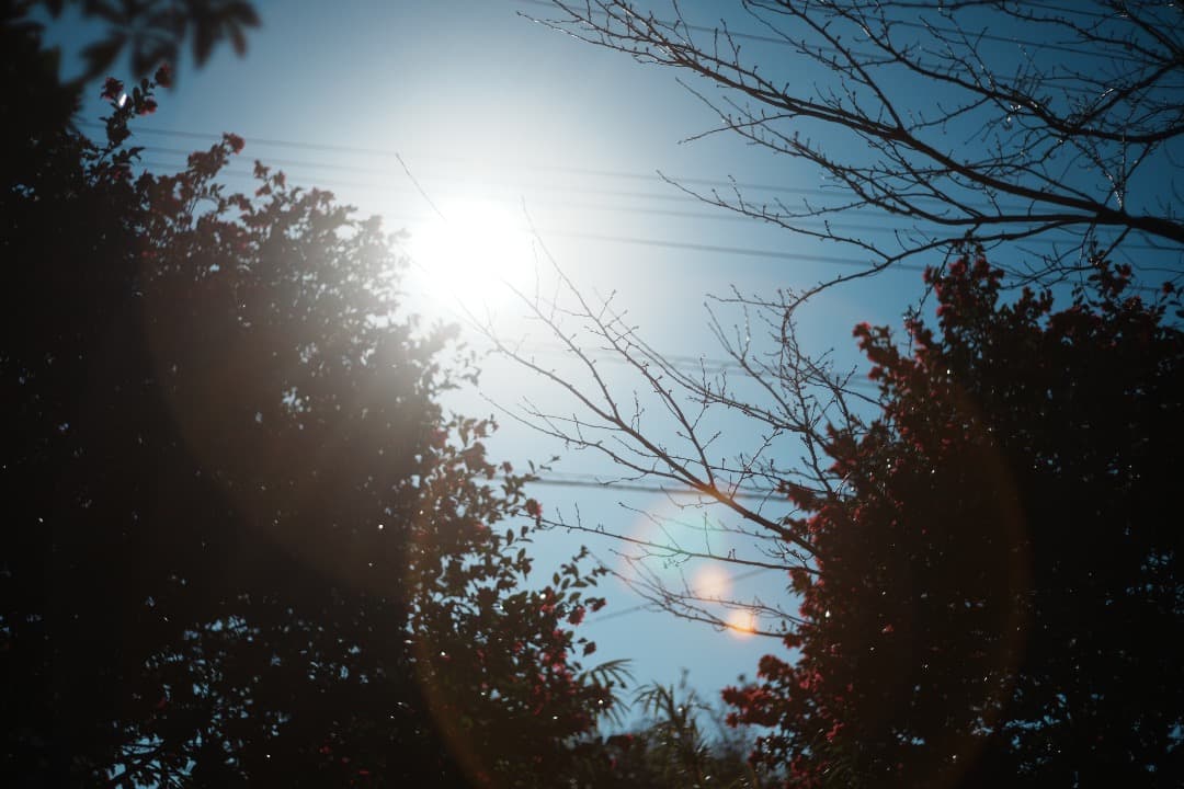 希少 pentax Auto Takumar 55mm f1.8 ゼブラ 989