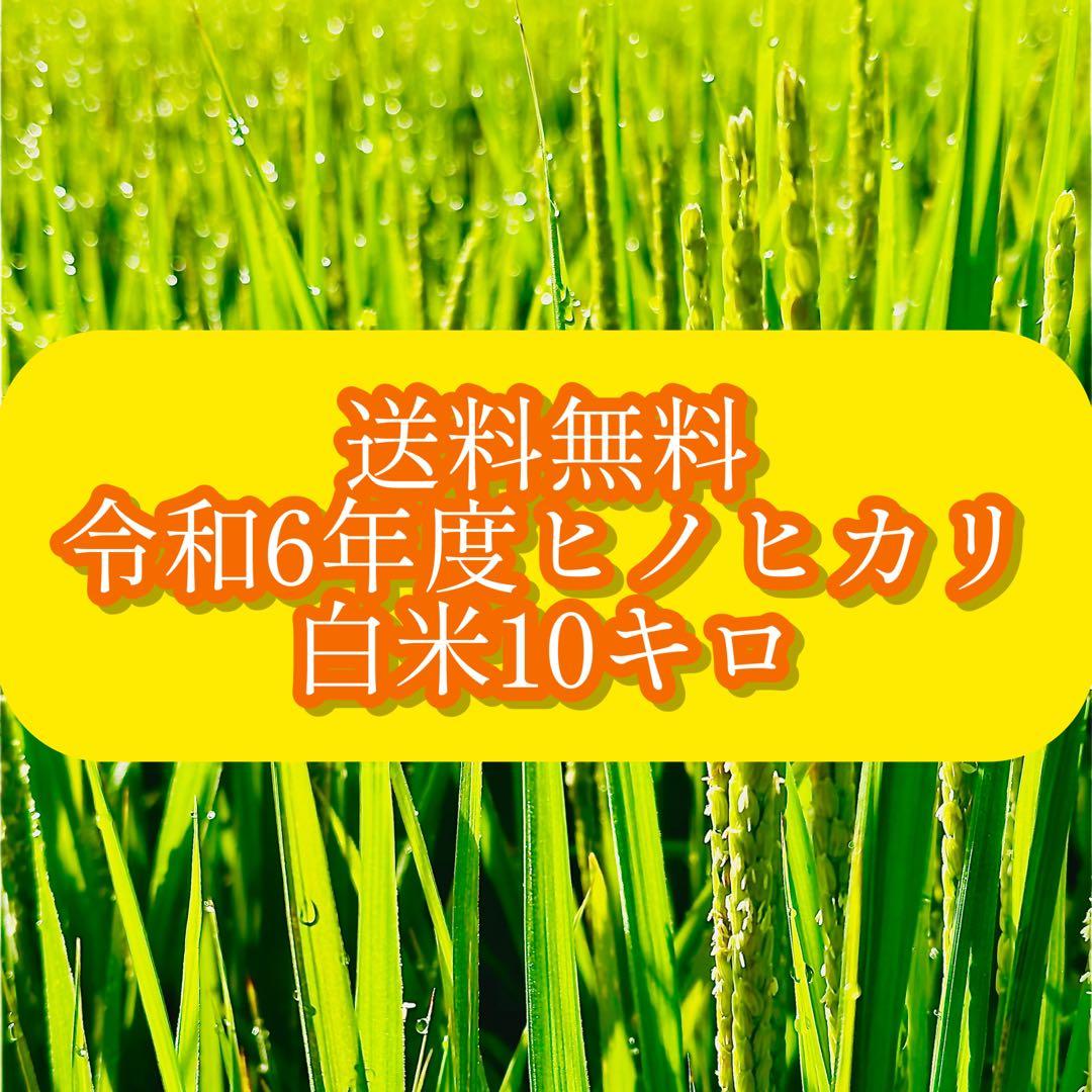 米農家直送 令和6年度 ヒノヒカリ白米10キロ 低農栽培 宮崎県産