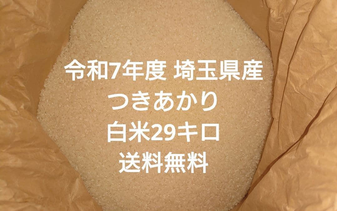 令和7年度 埼玉県産⭐つきあかり⭐白米29キロ 送料無料