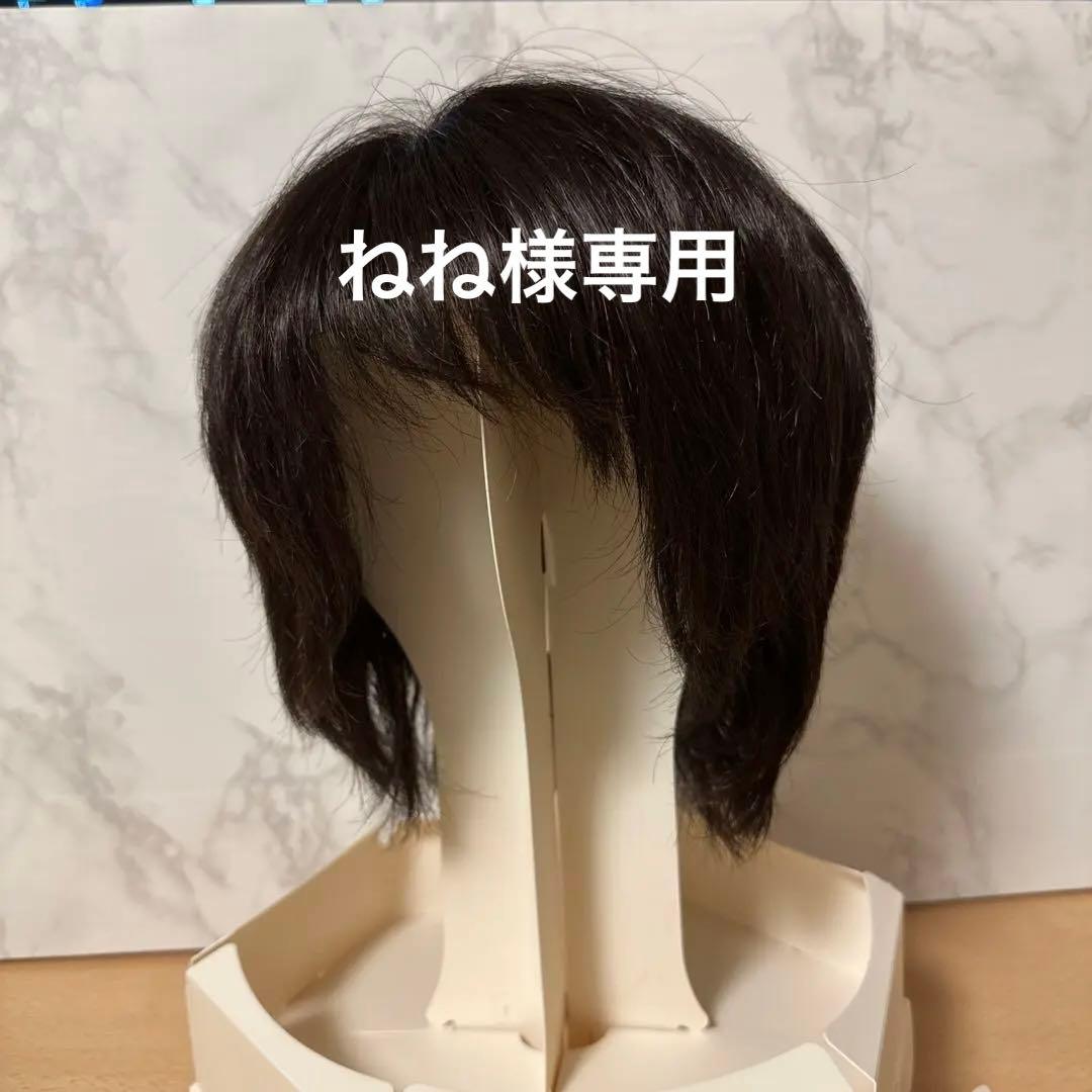 医療用ウィッグ　アートネイチャー　ジュリアオージェ　ショート
