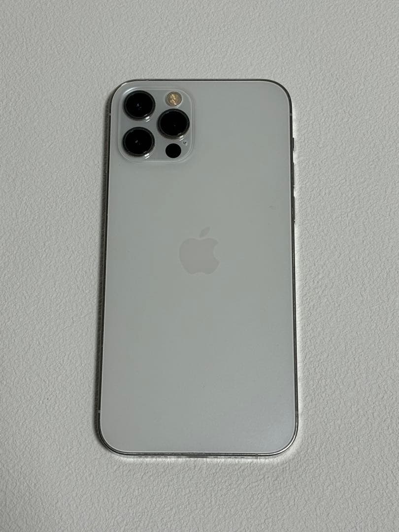 Apple iPhone 13 Pro ジャンク　部品取り