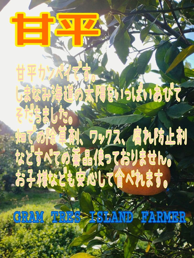 甘平　5kg箱　初物