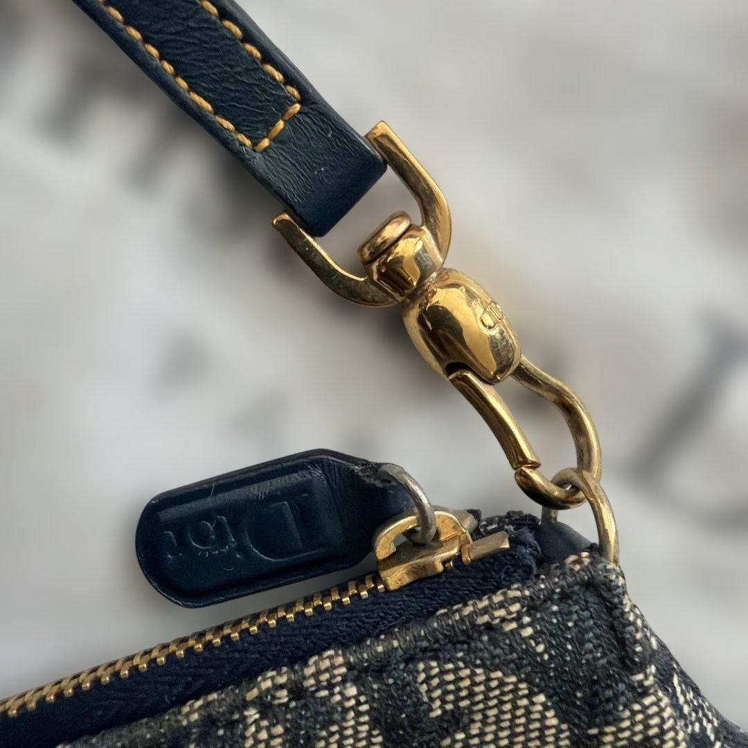 dior ディオール サドル トロッター