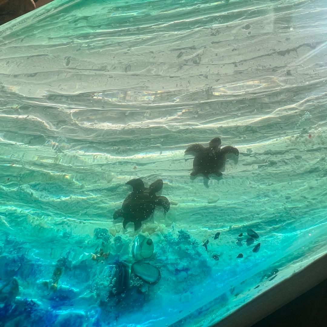 【レジンアート】波紋アート／ホヌの親子／A5パネル／壁掛け可能／枠なし