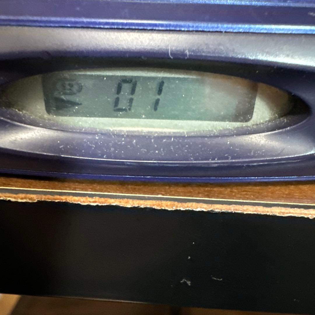 ループマスター　パイオニア