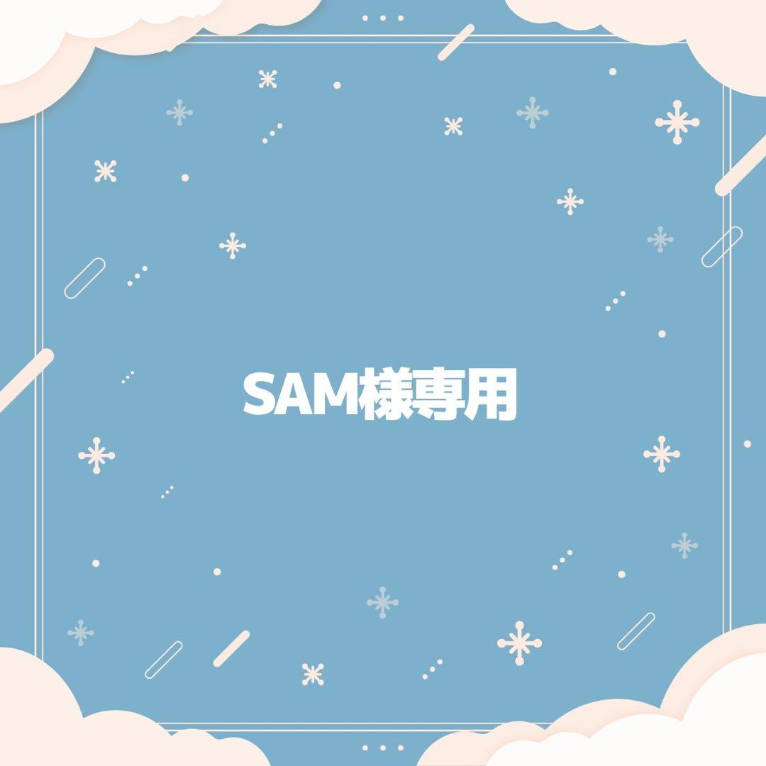 その他 SAM