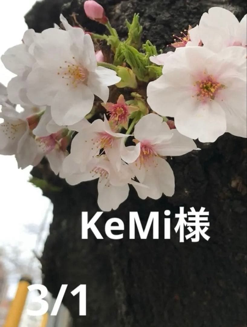 KeMi様
