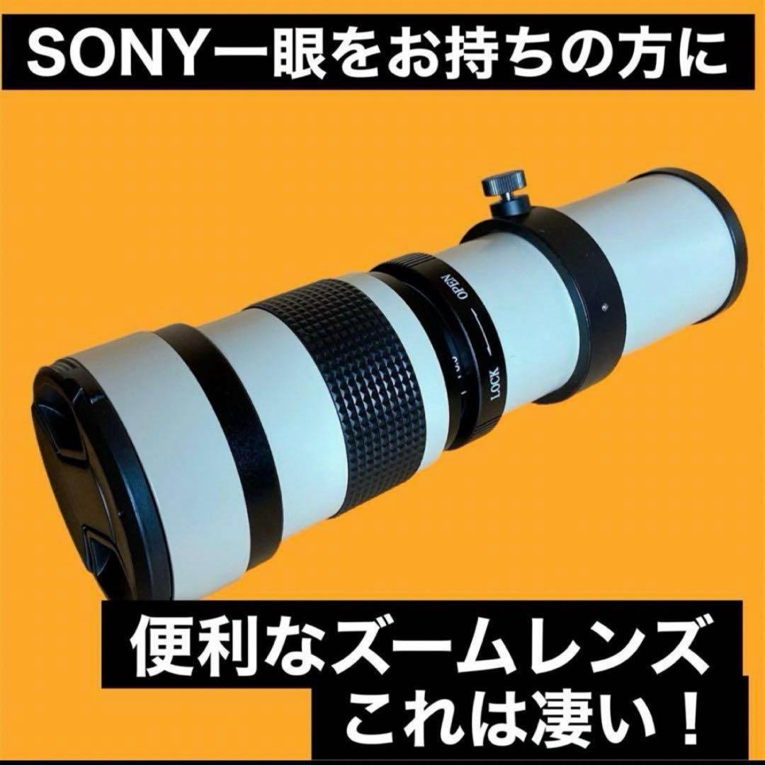 思い出を残そう！SONYミラーレス用の望遠レンズ！カメラ初心者OK！サポート付き