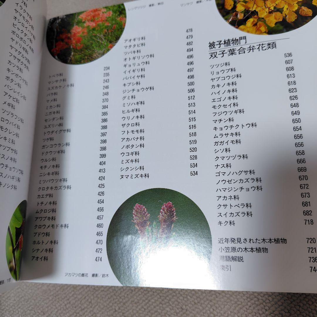 増補改訂新版　日本の樹木