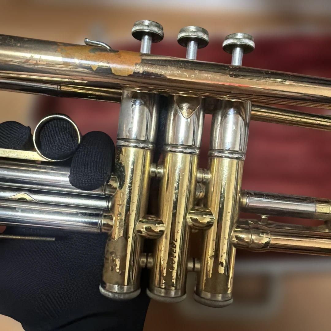 トランペットニッカン