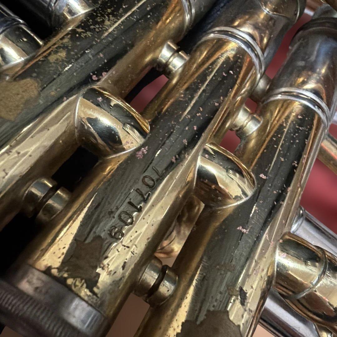 トランペットニッカン