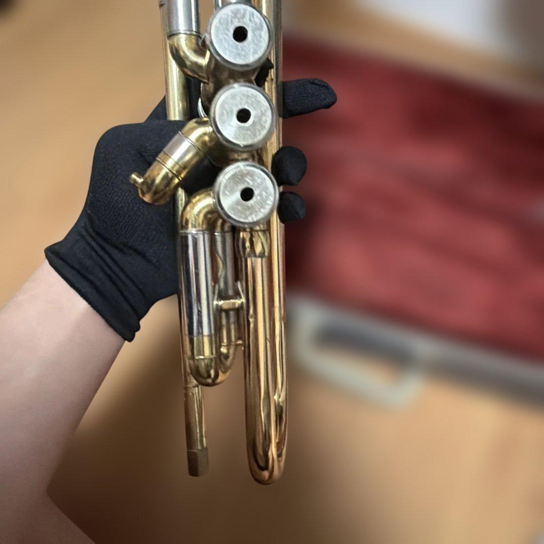 トランペットニッカン