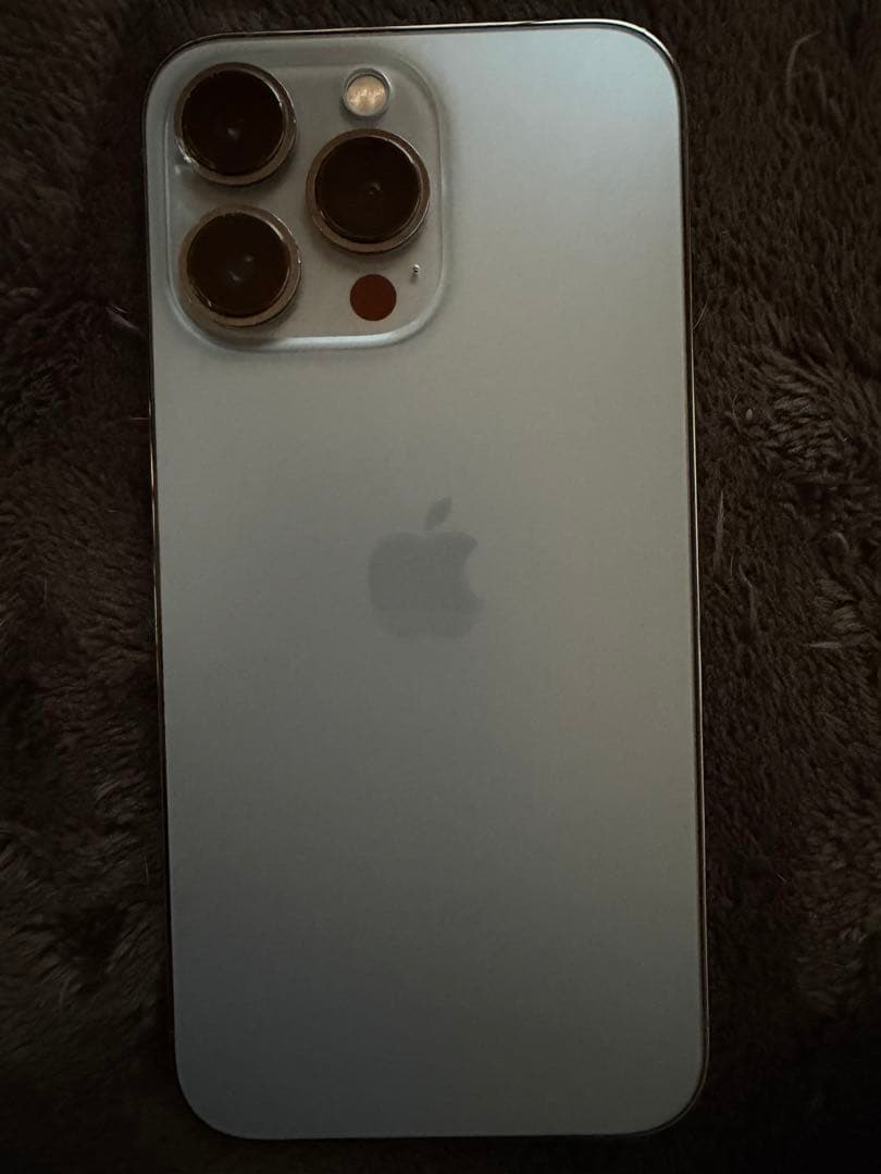 ペリー カモノハシ  Apple iPhone 13 Pro シエラブルー