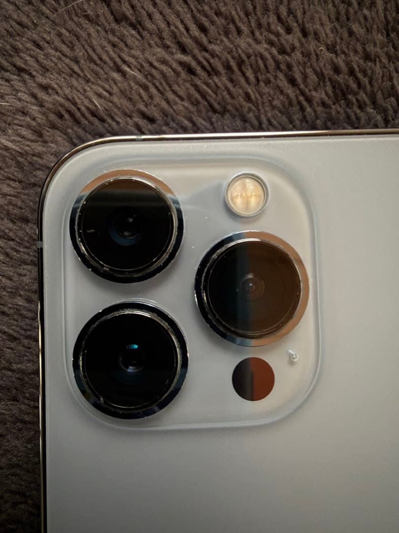 ペリー カモノハシ  Apple iPhone 13 Pro シエラブルー