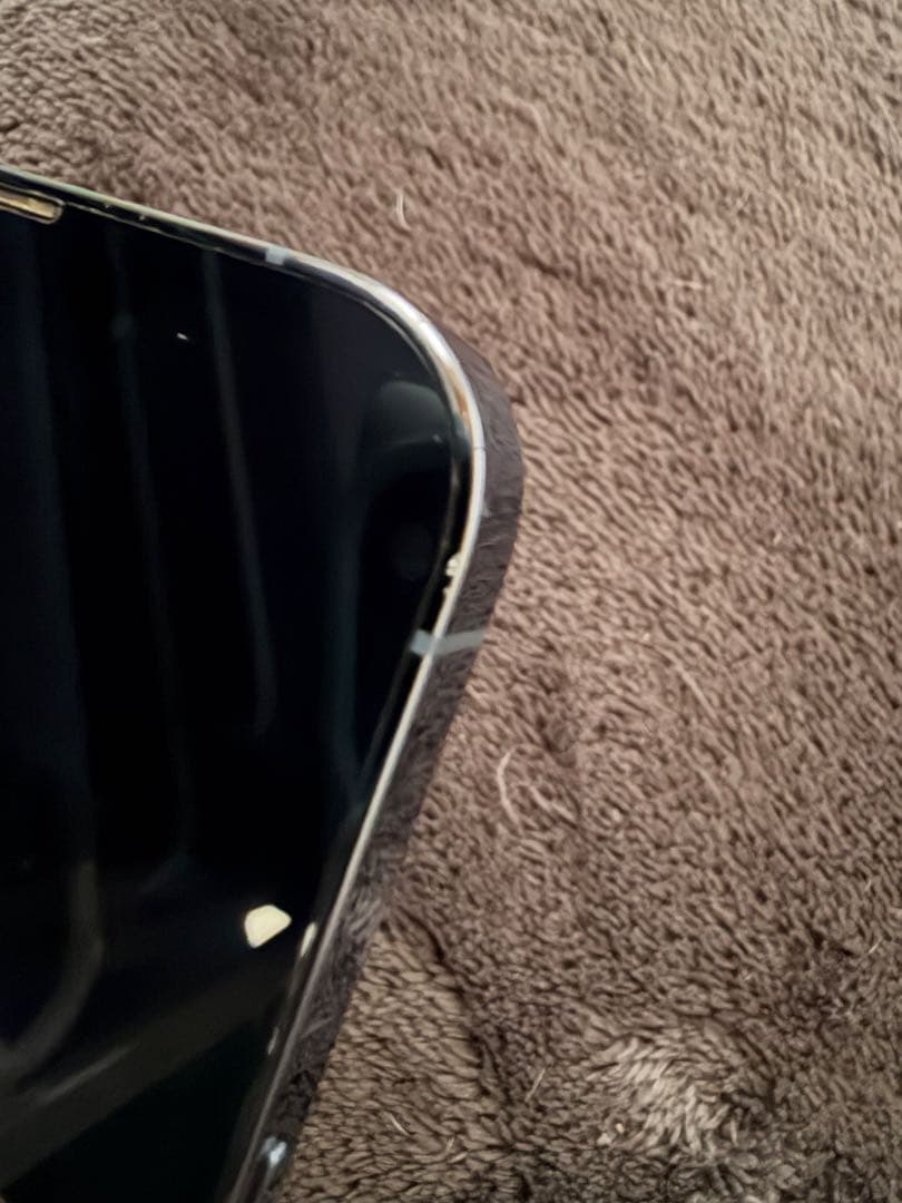 ペリー カモノハシ  Apple iPhone 13 Pro シエラブルー