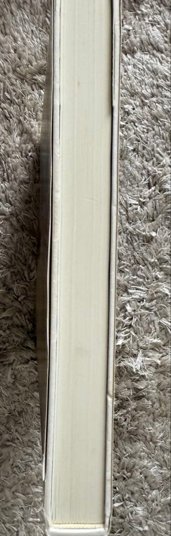 【最終値下げ】Michaël Borremans ミヒャエル・ボレマンス　画集