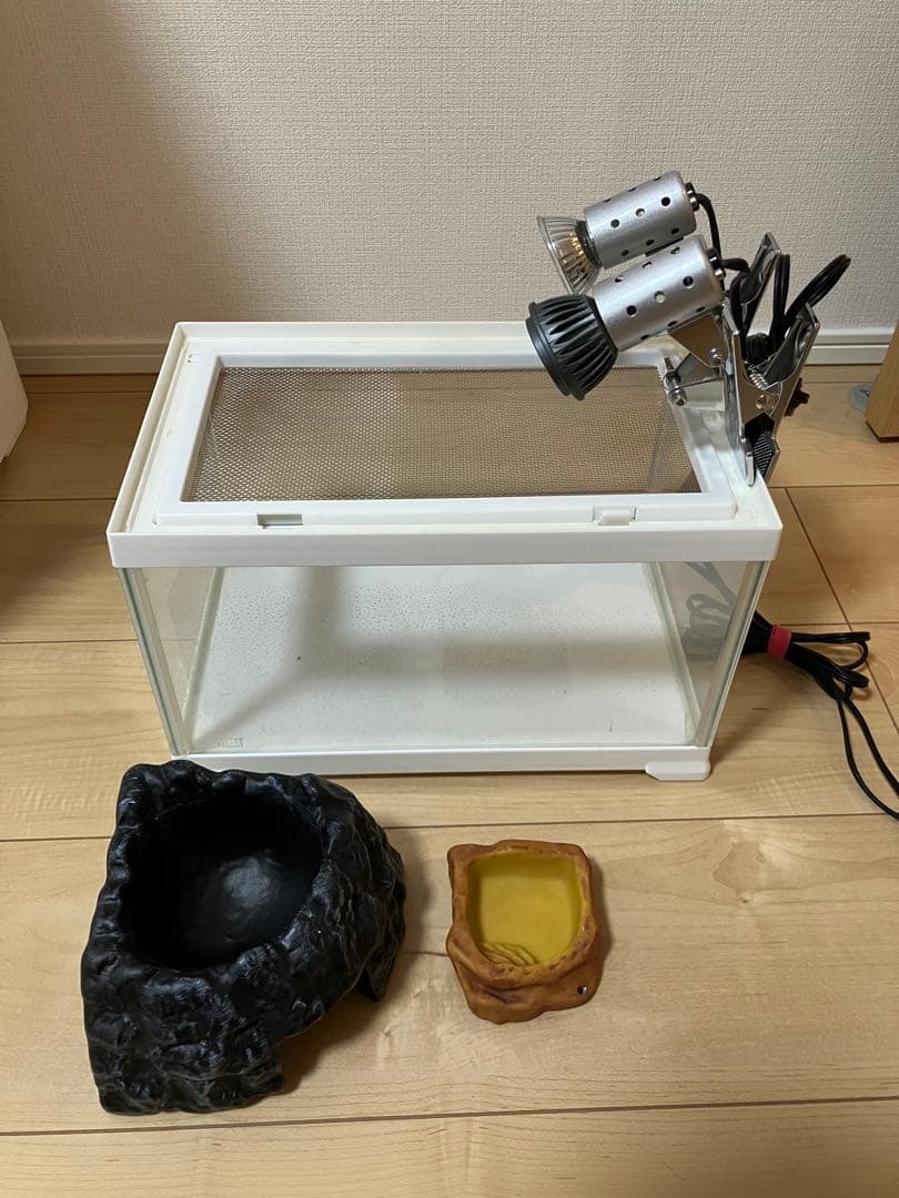 カナヘビ 冬越しセット UV/ヒーター付 水槽一式