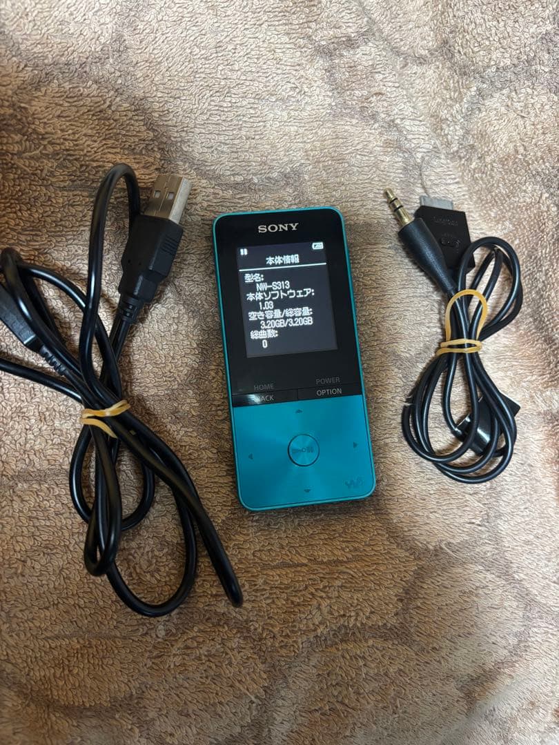 SONY NW-S313 ウォークマン販売終了品