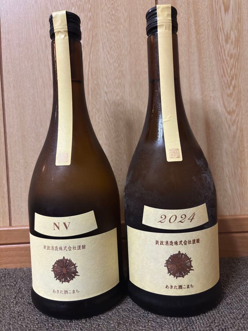 新政　生成　2024 NV