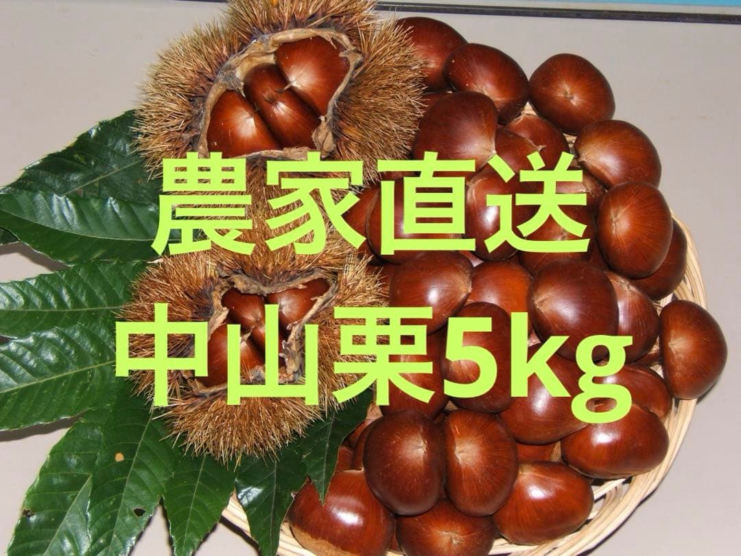 幻の栗⭐︎中山栗2L~4L混合5kgクール便（匿名不可）農家直送2025-016