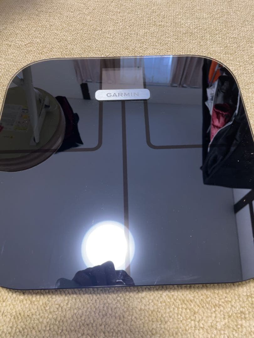 (美品 使用頻度僅か) GARMIN ガーミン INDEX S2