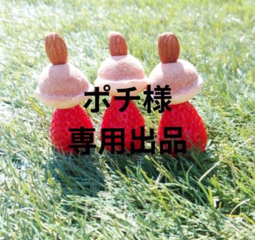 ポチ やよい 800 10