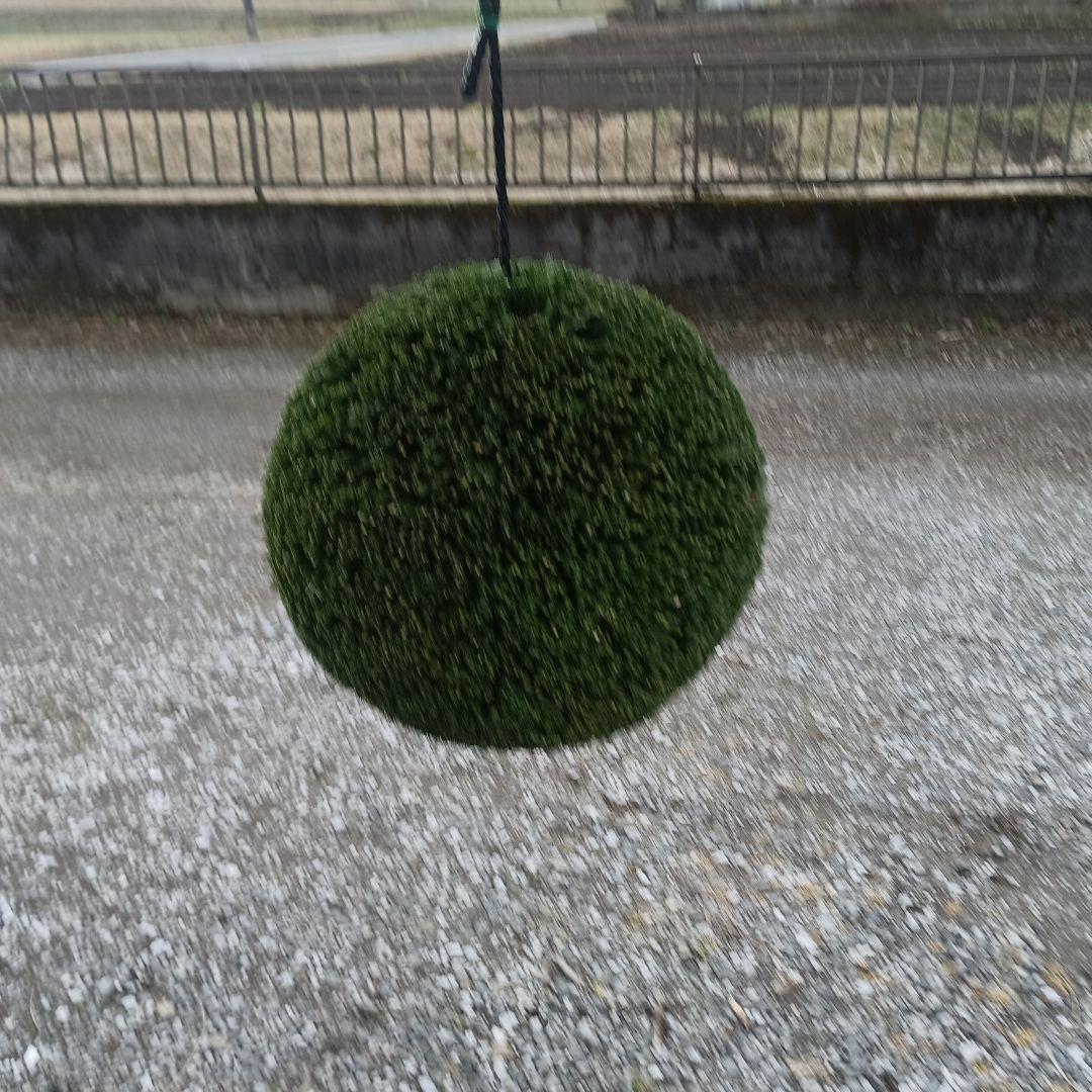 杉玉　直径約38ｃｍ 屋根なし